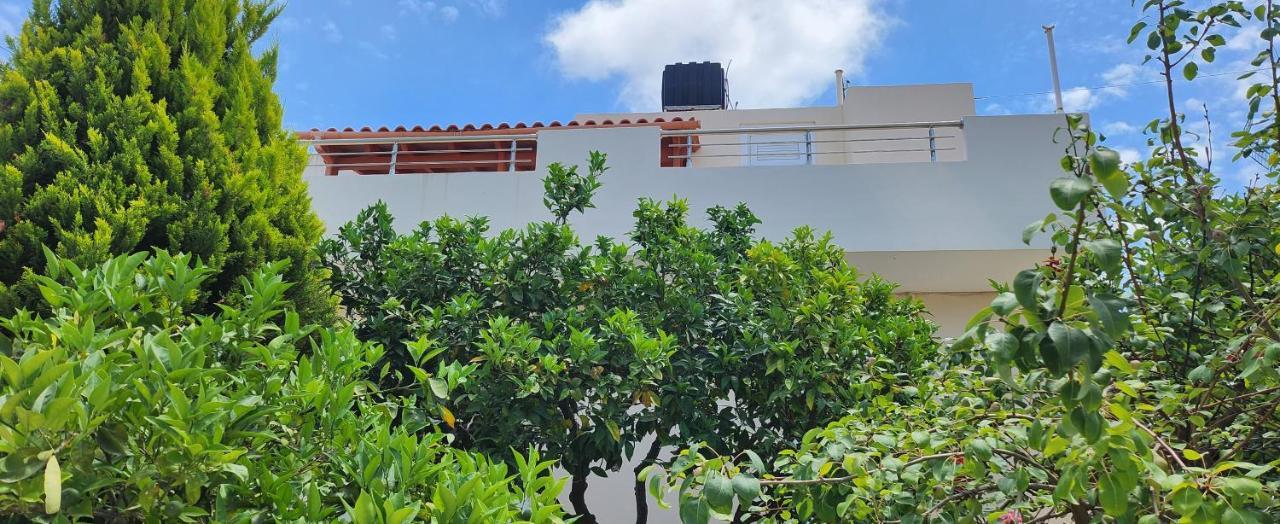 Villa Elli Hersonissos  Exteriér fotografie